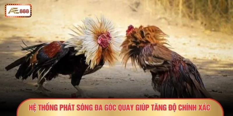 Đá Gà Cựa Sắt – 9 Sự Thật Gây Sốc Không Phải Ai Cũng Biết 4 Hệ thống phát sóng đa góc quay giúp tăng độ chính xác