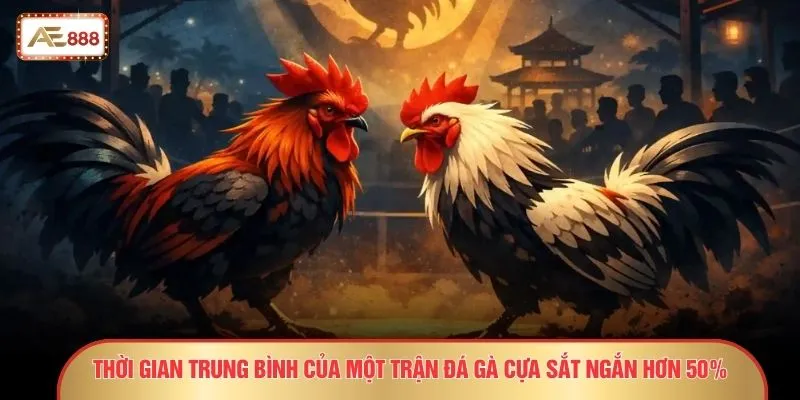 Đá Gà Cựa Sắt – 9 Sự Thật Gây Sốc Không Phải Ai Cũng Biết 2 Thời gian trung bình của một trận đá gà cựa sắt ngắn hơn 50%